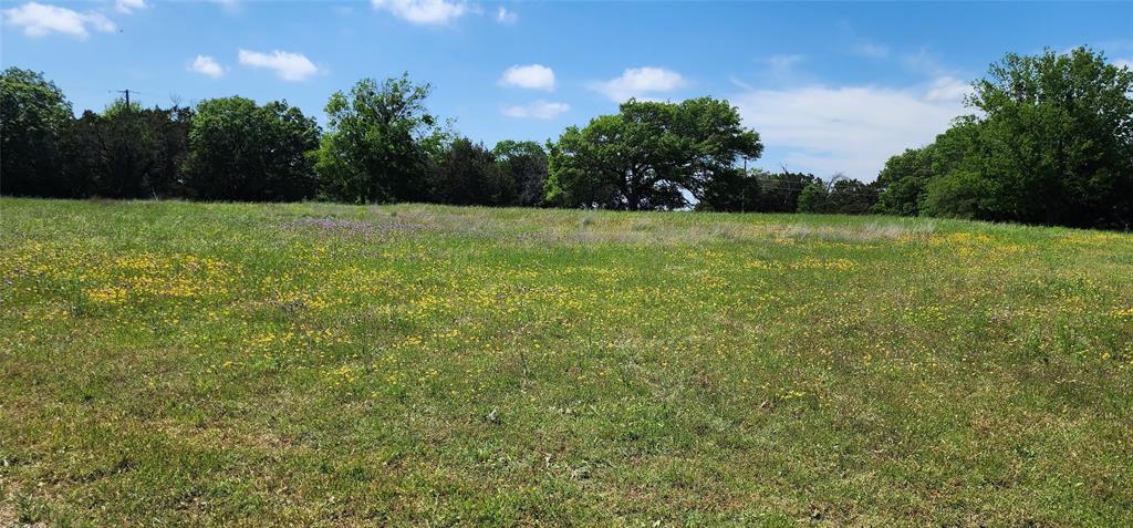277 County Road 1526 Property Photo 4