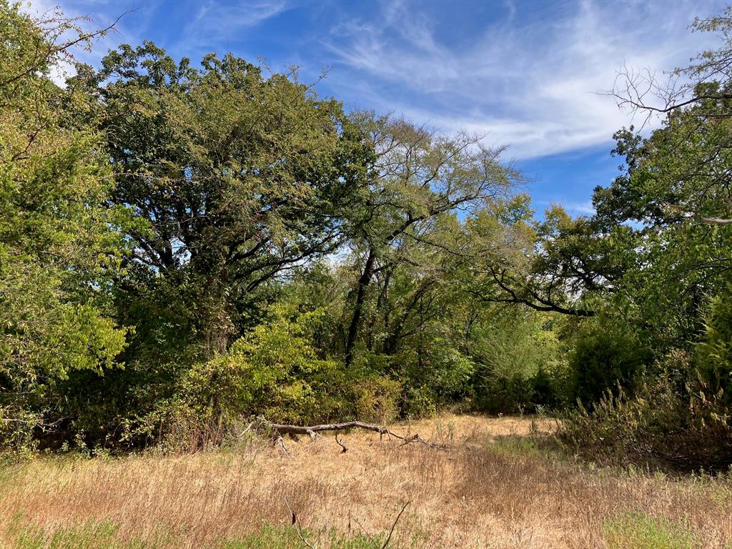 Tbd County Road 4758 Property Photo 1