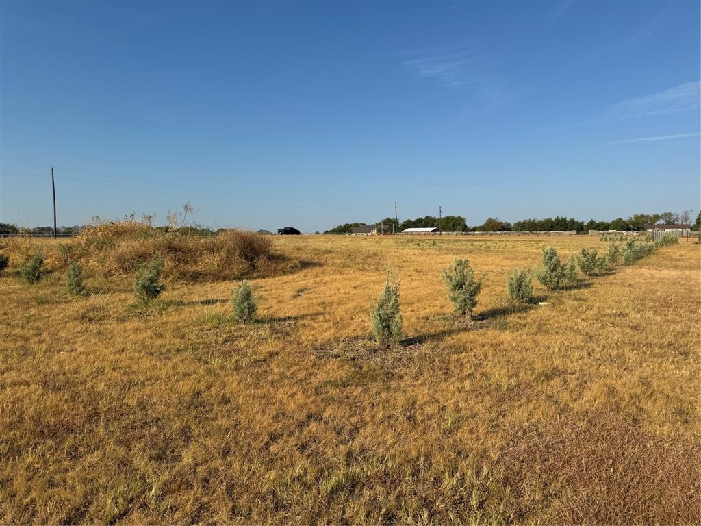 115 County Road 4524 Street Property Photo 1