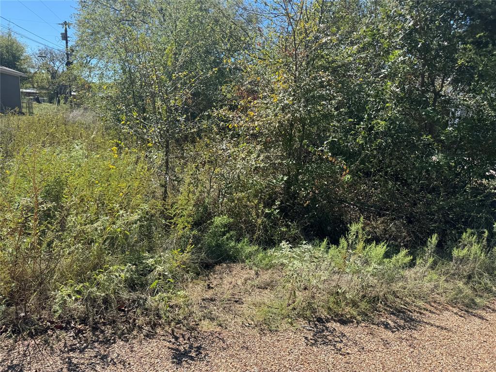 Tbd Westview Drive Property Photo 3