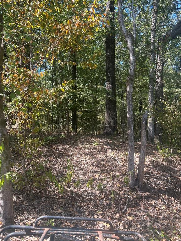 394 Denmon Road Property Photo 1