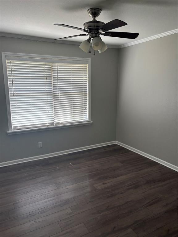 2404 Waverly Property Photo 13