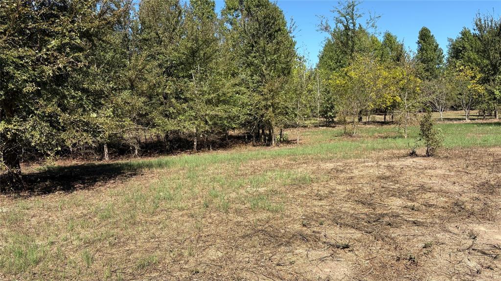 920 County Road 1226 Property Photo 1