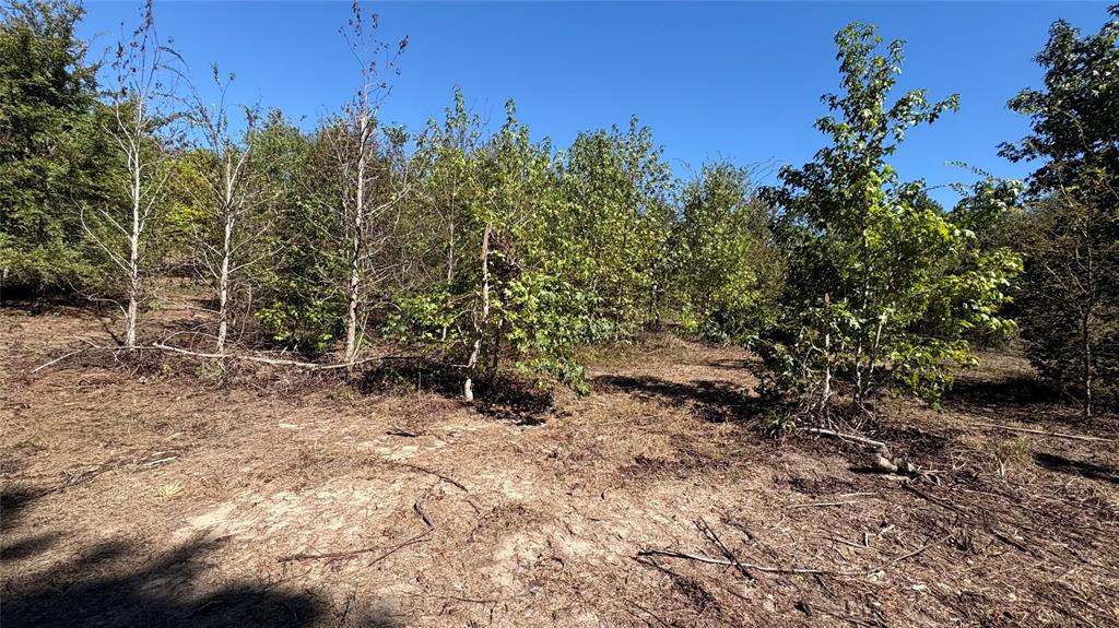 920 County Road 1226 Property Photo 2