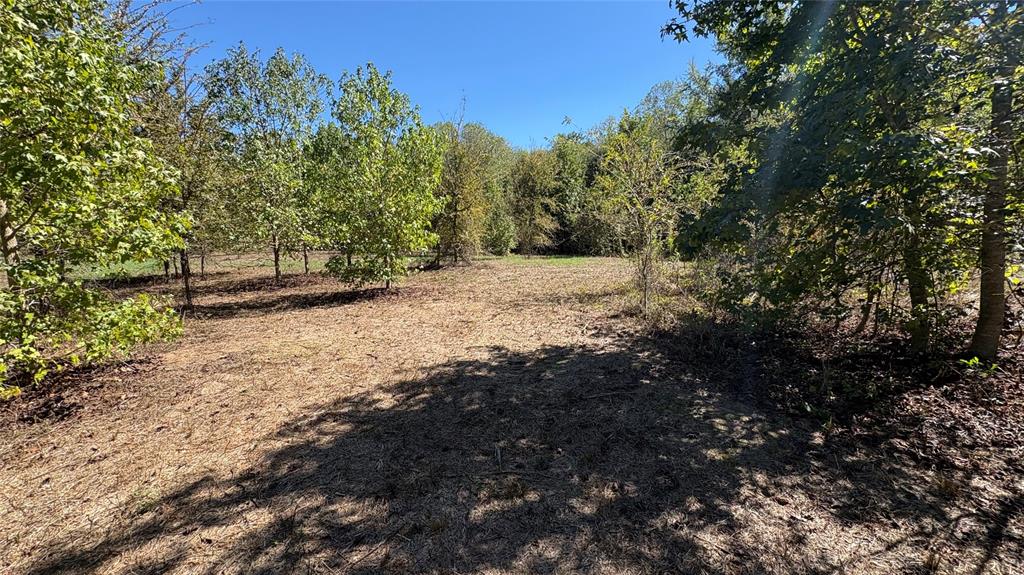 920 County Road 1226 Property Photo 4