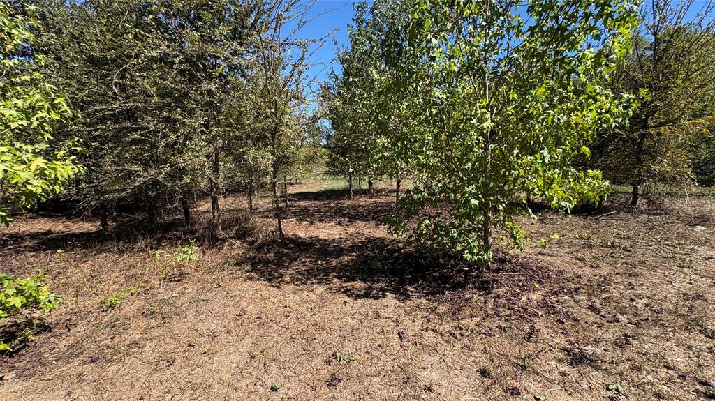 920 County Road 1226 Property Photo 6