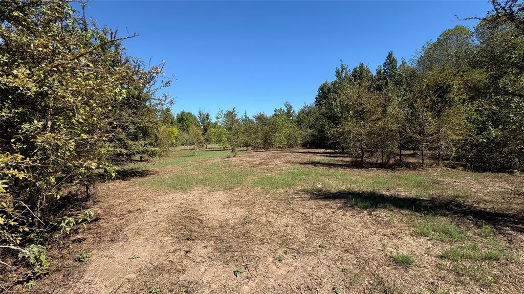 920 County Road 1226 Property Photo 7