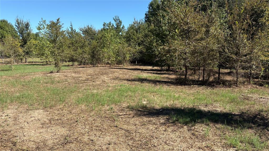 920 County Road 1226 Property Photo 8