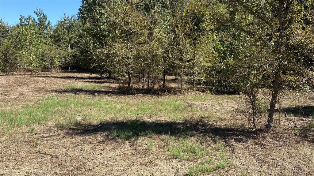 920 County Road 1226 Property Photo 9