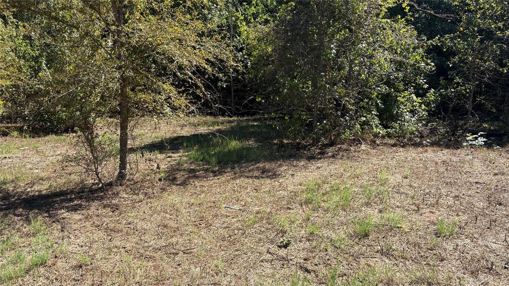 920 County Road 1226 Property Photo 10