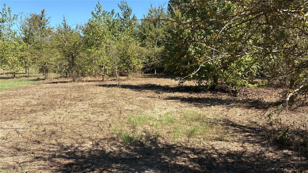920 County Road 1226 Property Photo 11