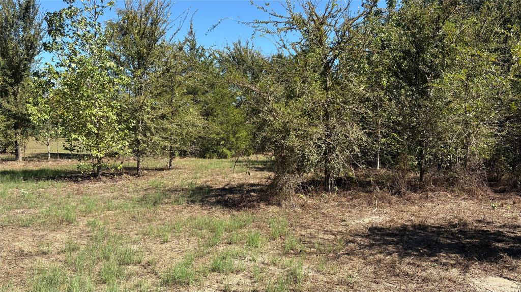 920 County Road 1226 Property Photo 15