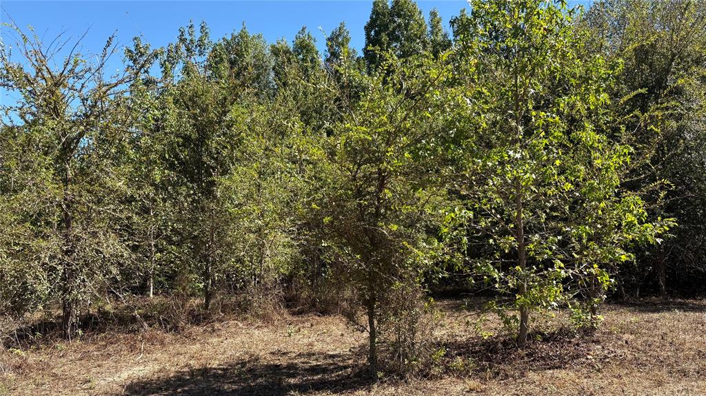 920 County Road 1226 Property Photo 16