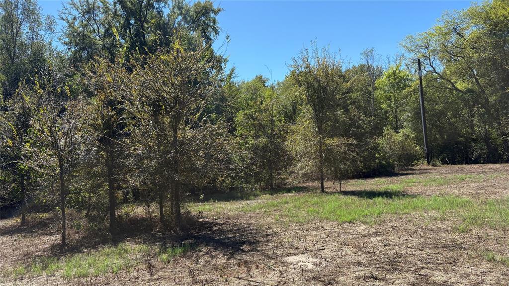 920 County Road 1226 Property Photo 18