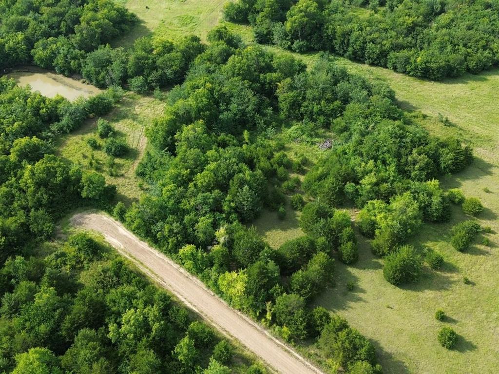 4081 Fm 2736 B Property Photo 2