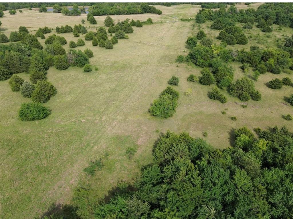 4081 Fm 2736 B Property Photo 5