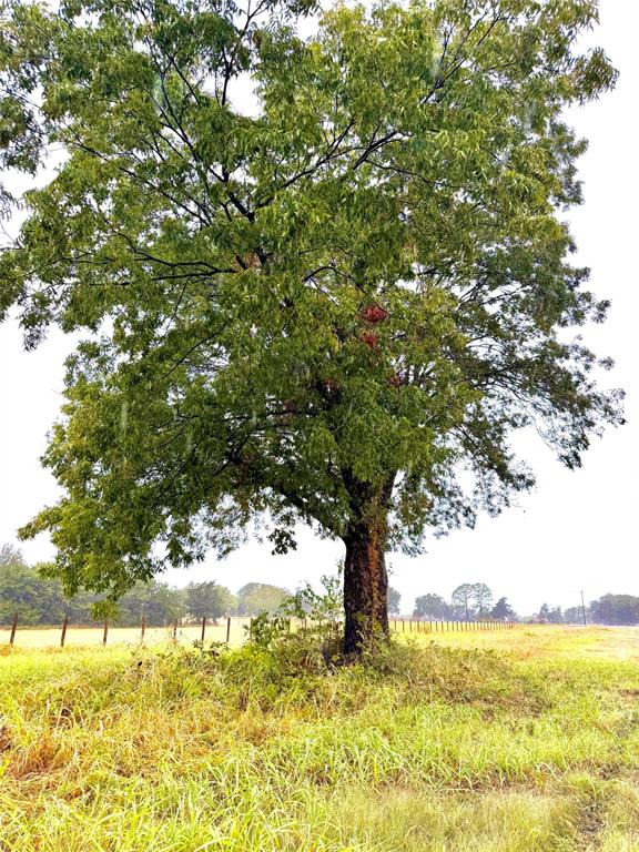 Tbd Tract D Fm 513 Tx Property Photo 2