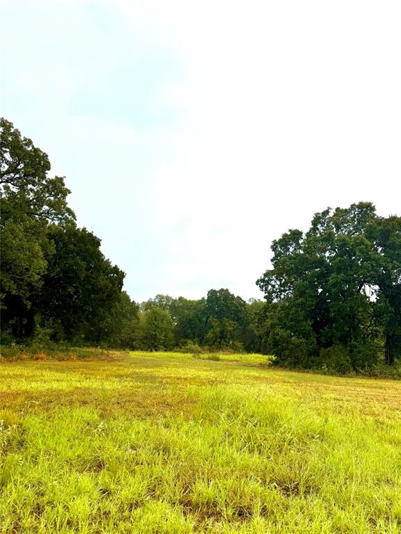 Tbd Tract D Fm 513 Tx Property Photo 4