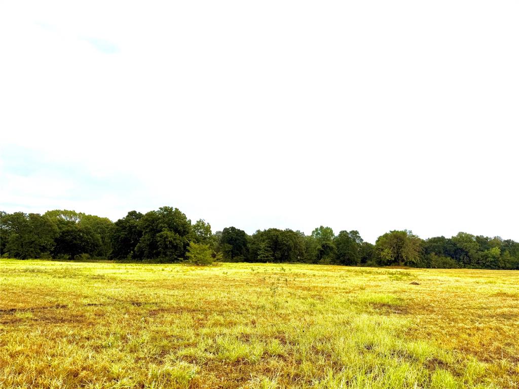Tbd Tract D Fm 513 Tx Property Photo 5