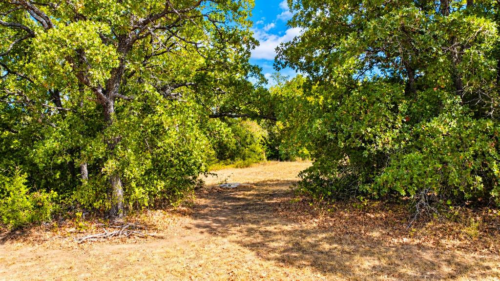 109 Bear Cat Court Property Photo 33