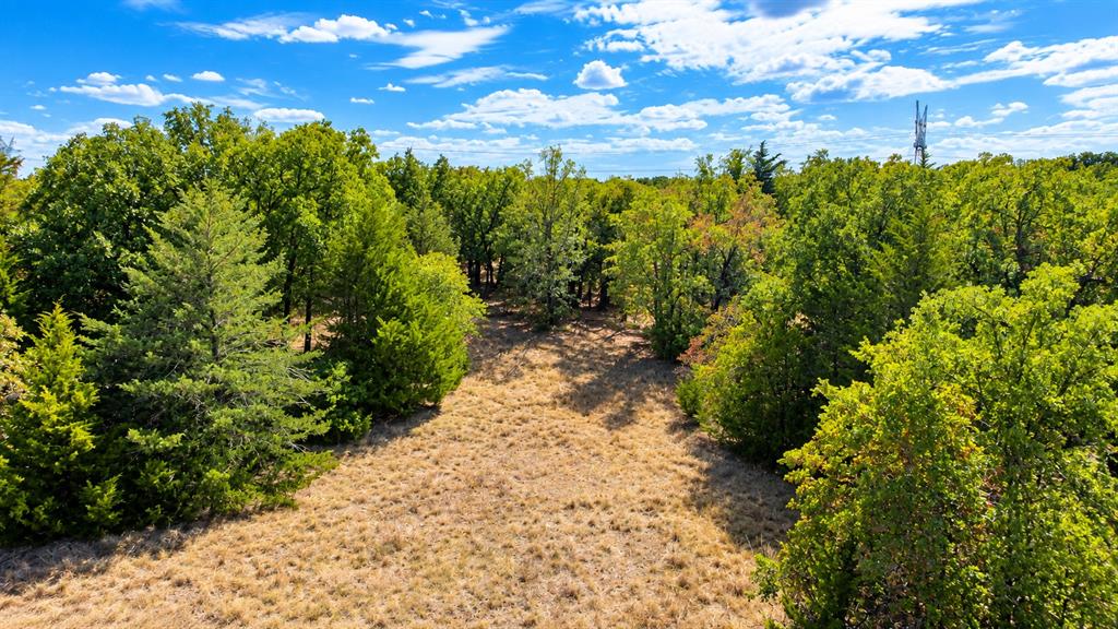 109 Bear Cat Court Property Photo 35