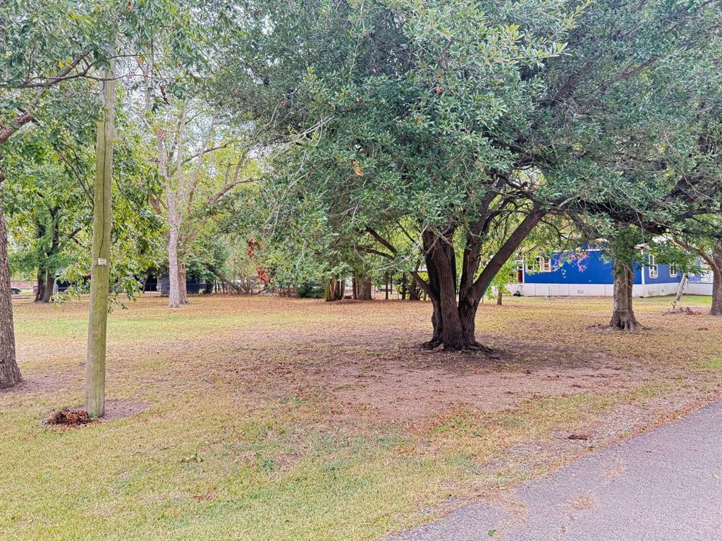 202 Paris Street Property Photo 3
