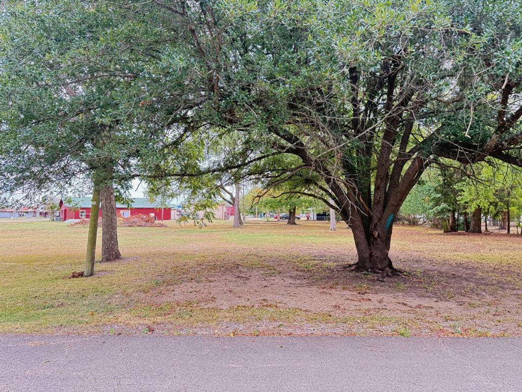 202 Paris Street Property Photo 4