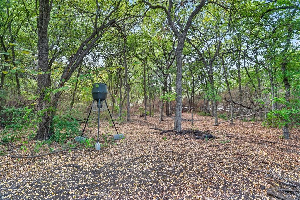 6608 Silver Oak Lane Property Photo 36