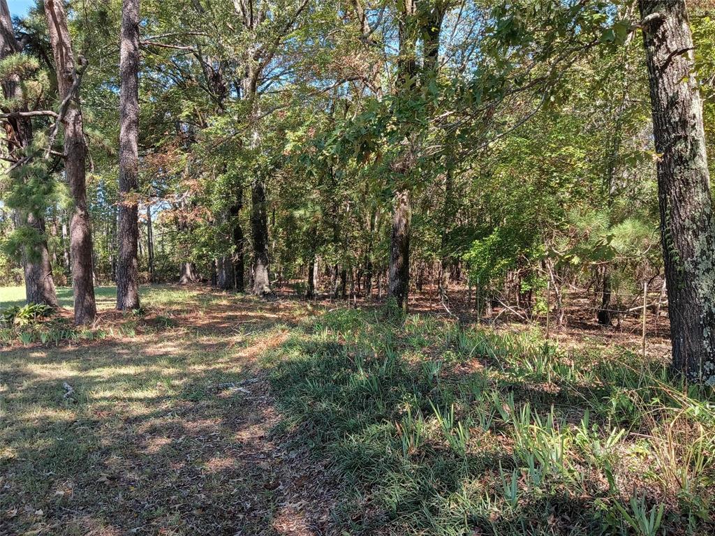 0 Bethlehem Property Photo 6
