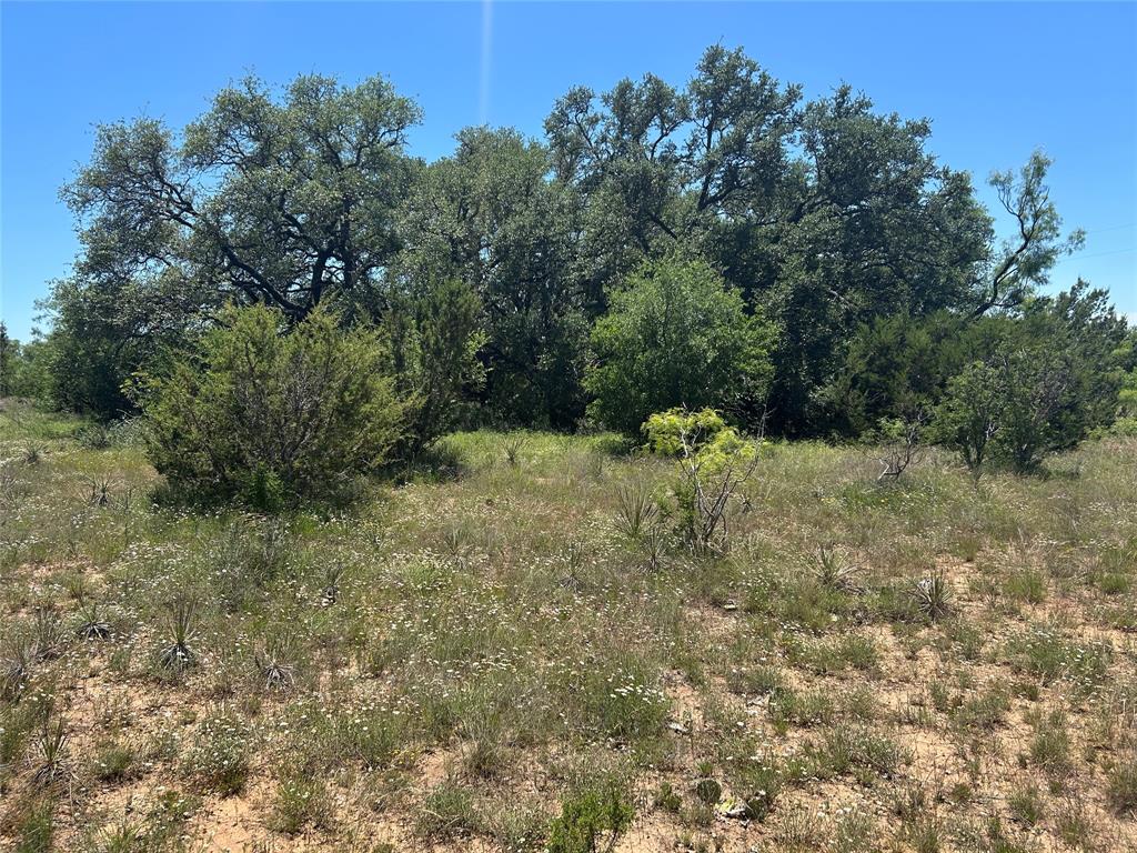 824 Cr 409 Property Photo 2