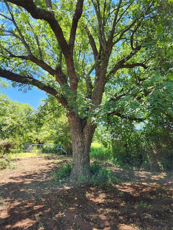 824 Cr 409 Property Photo 15
