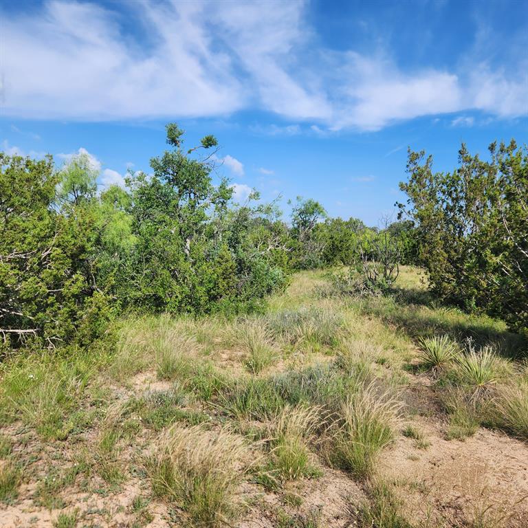 824 Cr 409 Property Photo 21