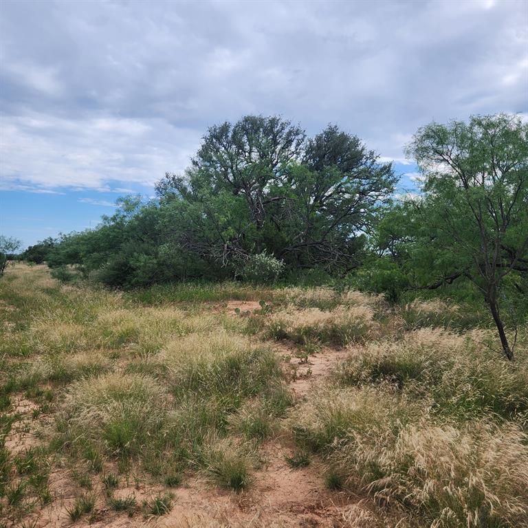 824 Cr 409 Property Photo 23