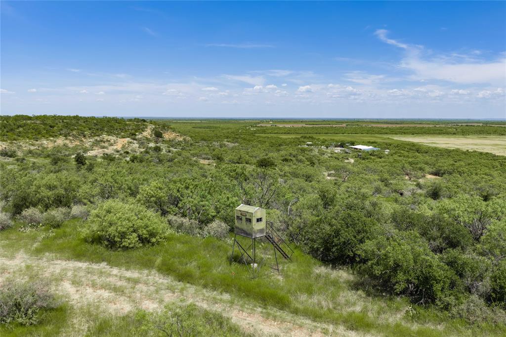 5782 Farm To Market 2131 Property Photo 7