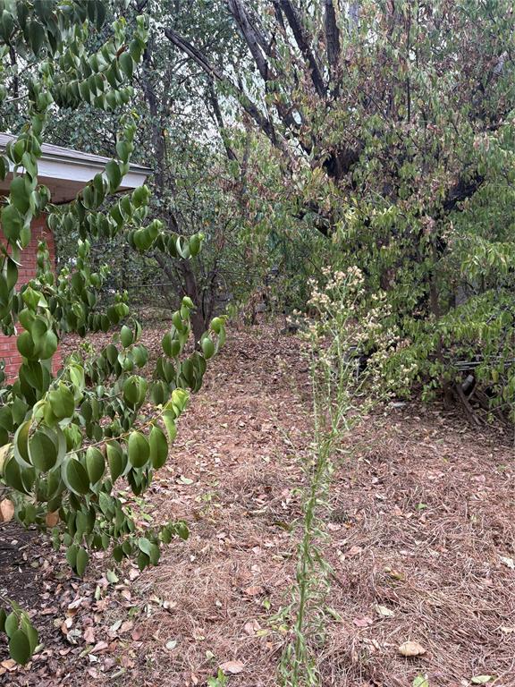 5912 Sandra Drive Property Photo 12