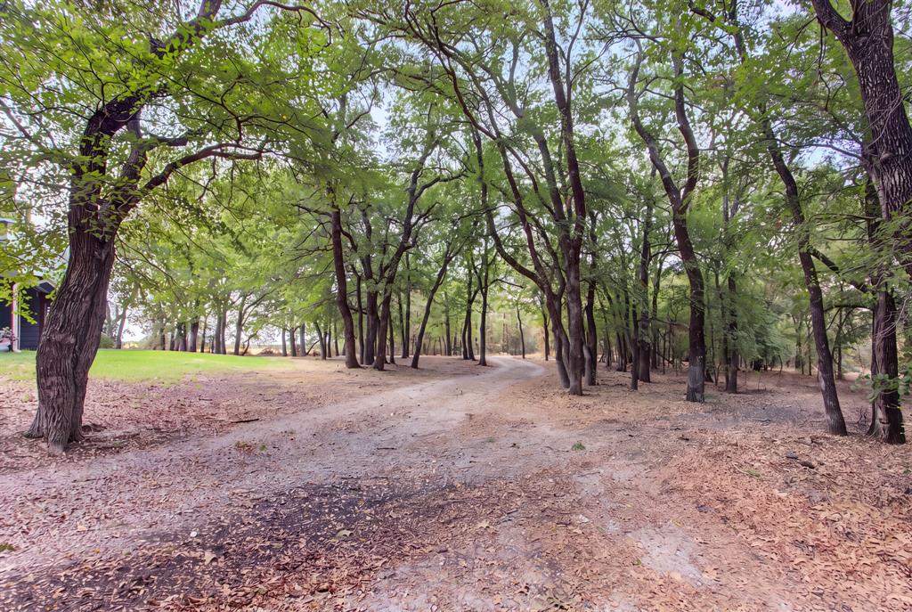 3207 Fm 2048 Property Photo 7
