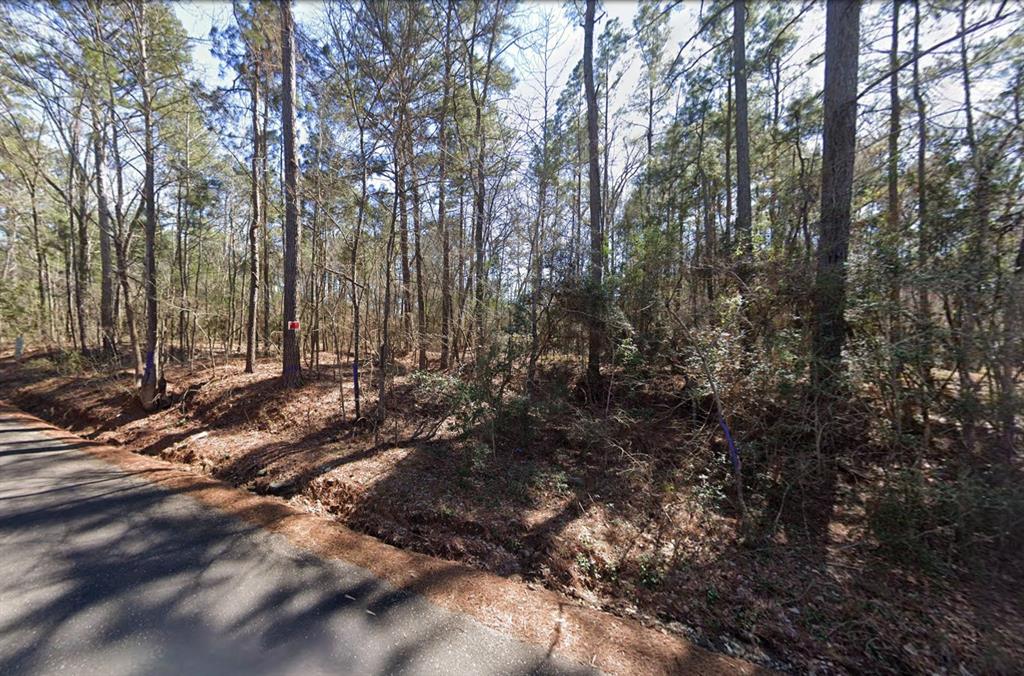 225 Paul Dixon Road Property Photo 2
