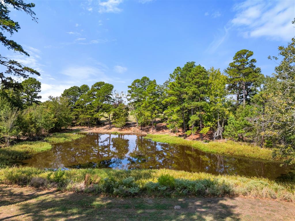 4050 Fm 16 Property Photo 2