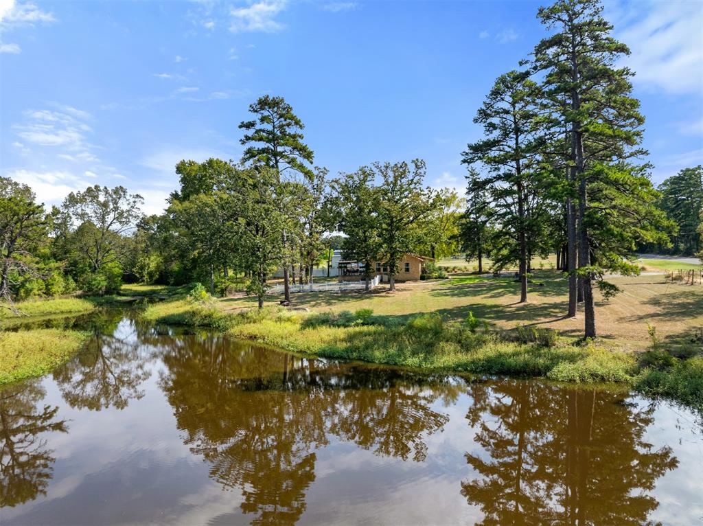 4050 Fm 16 Property Photo 17