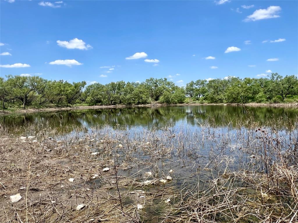 0000 County Road 338 Property Photo 6