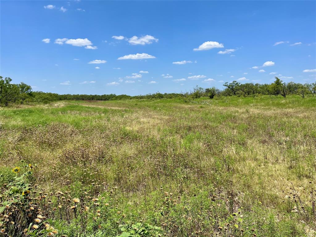 0000 County Road 338 Property Photo 8