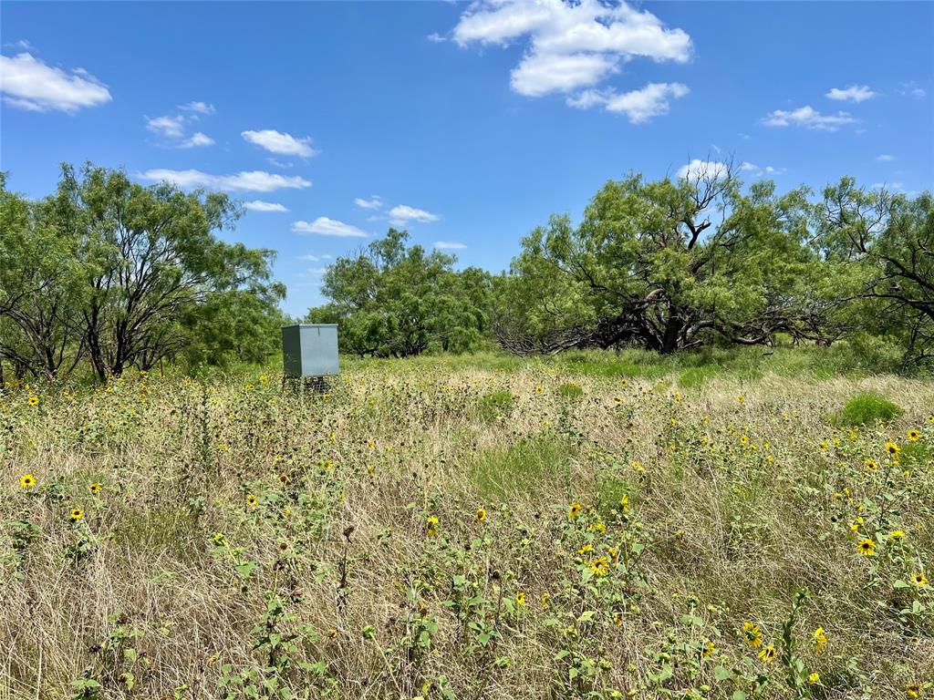 0000 County Road 338 Property Photo 13