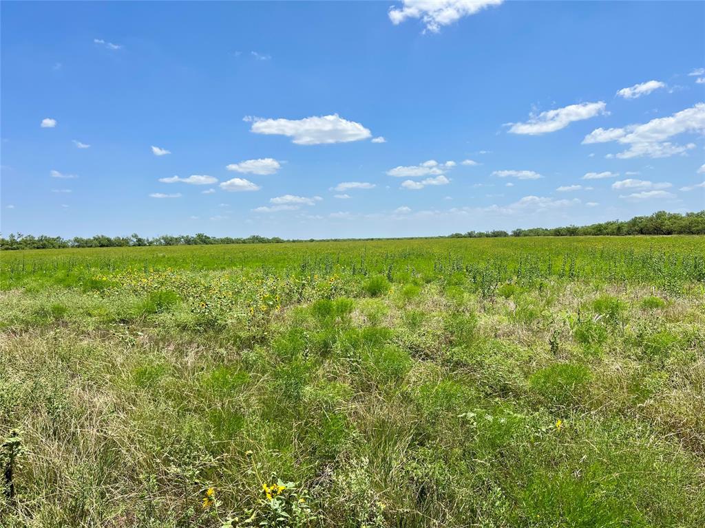 0000 County Road 338 Property Photo 14