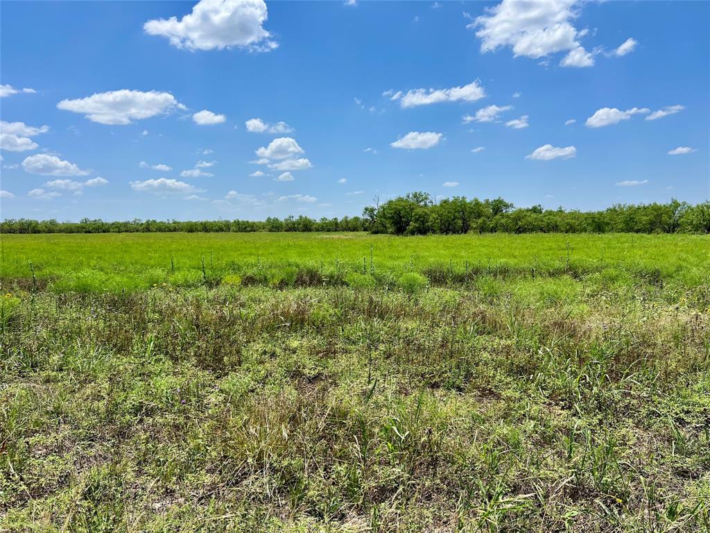 0000 County Road 338 Property Photo 15