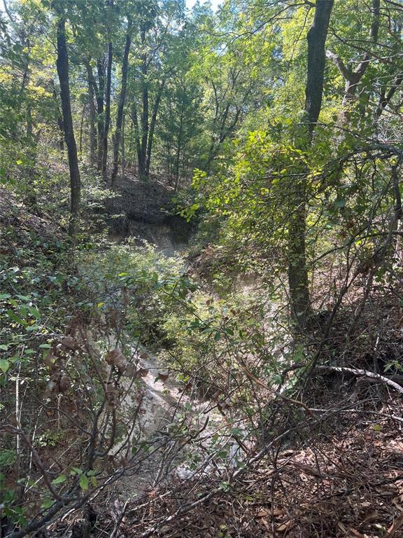 Tbd3 Rochelle Cannon Road Property Photo 15