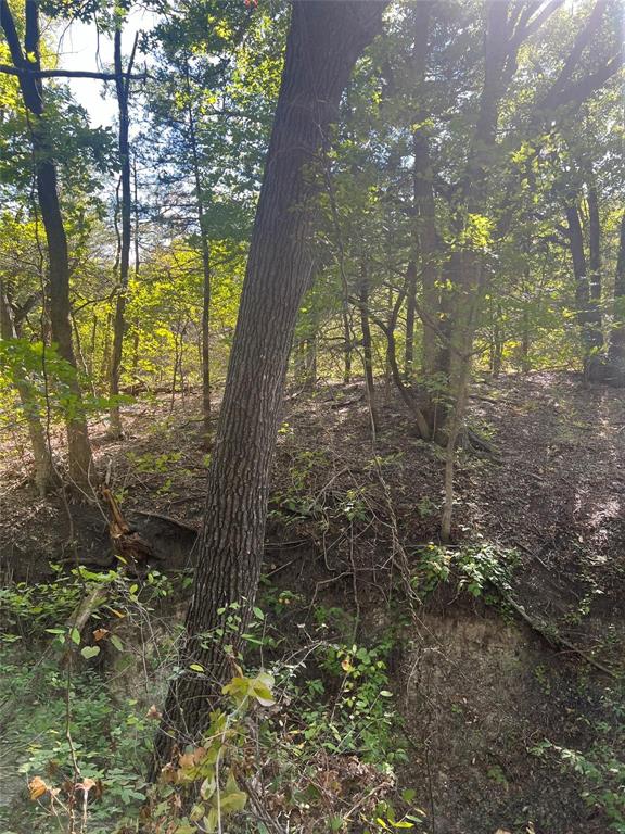 Tbd3 Rochelle Cannon Road Property Photo 16