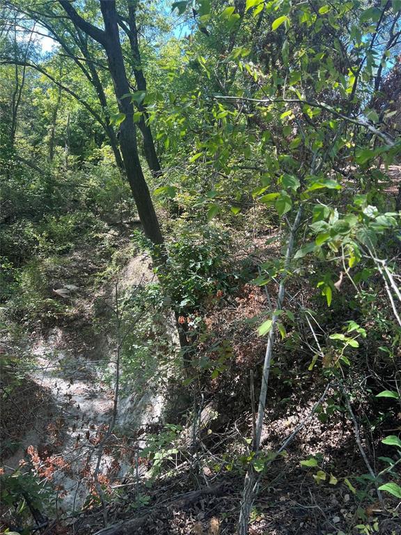 Tbd3 Rochelle Cannon Road Property Photo 18