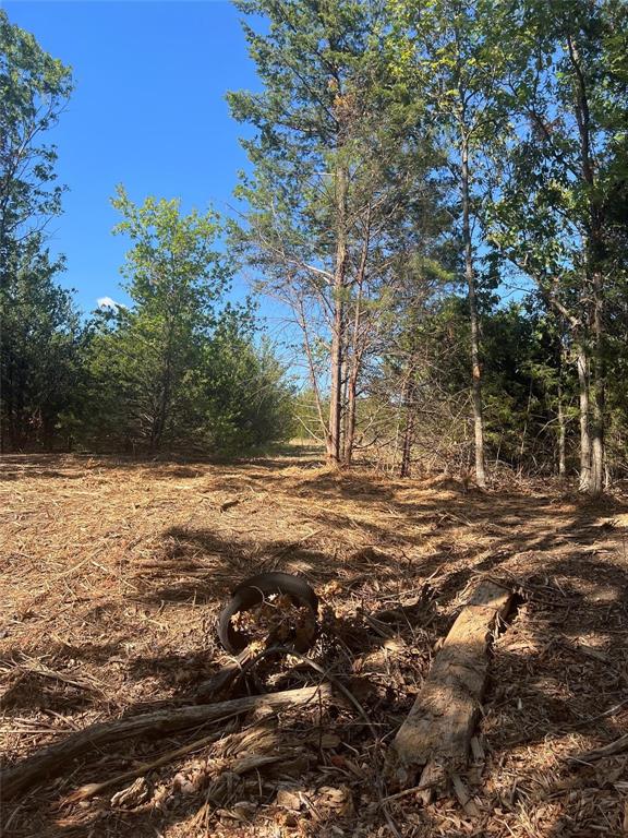 Tbd3 Rochelle Cannon Road Property Photo 19