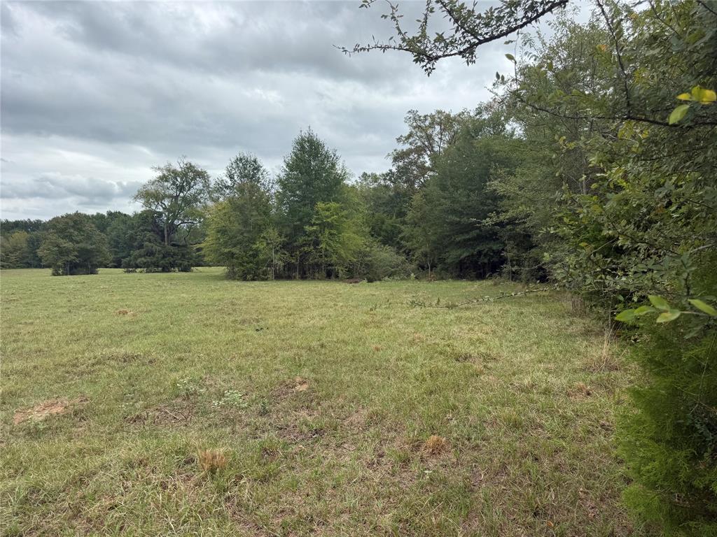 7.49 (+/-) I-20 Property Photo 5
