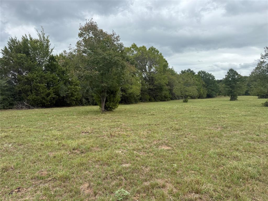 7.49 (+/-) I-20 Property Photo 9